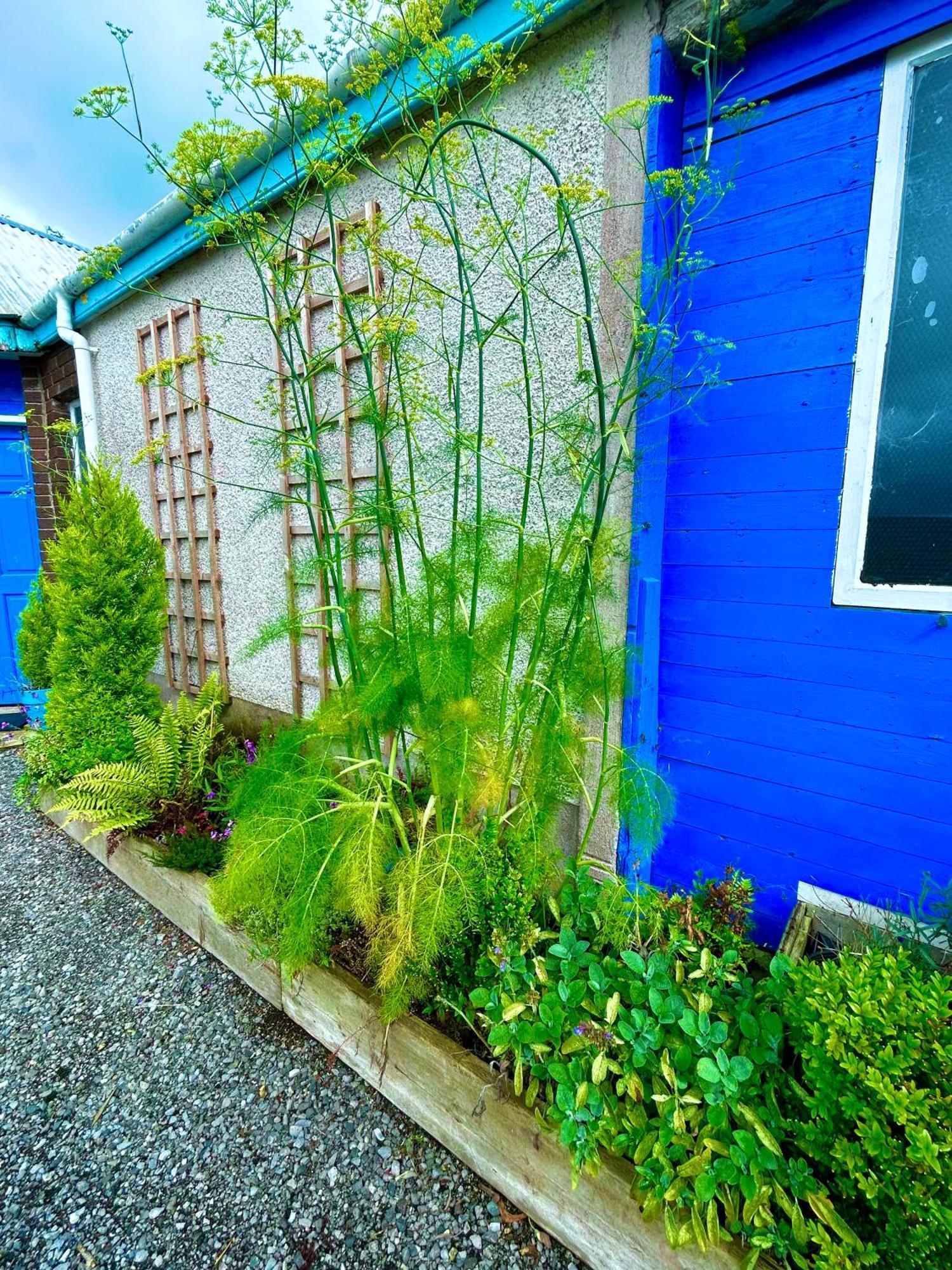 Villa Lime Tree House Maguires Bridge Exterior foto